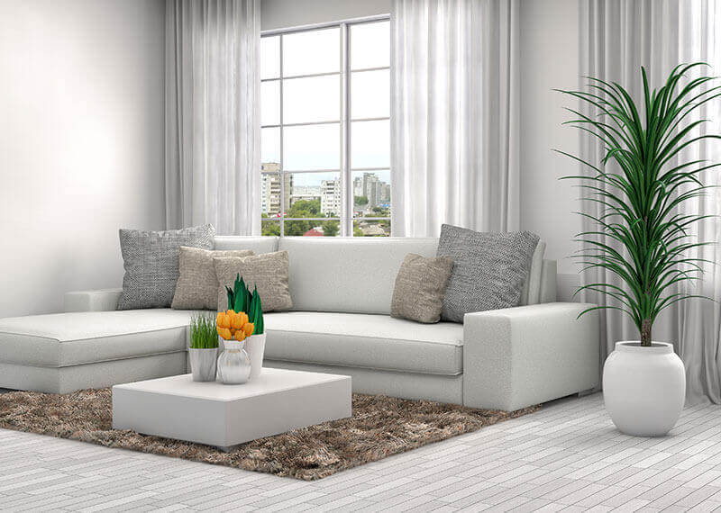 Salon lumineux et décoré